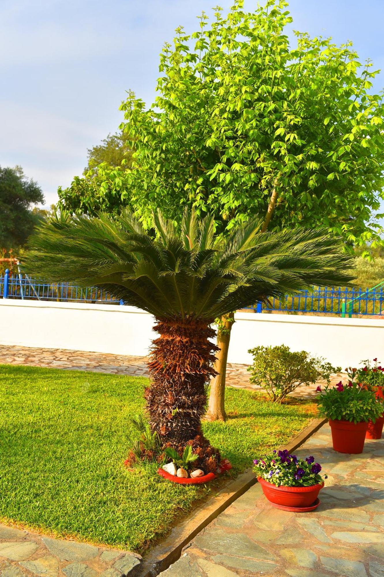 Villa Elpida Kanali  Zewnętrze zdjęcie